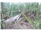 Gordonvale QLD 4865