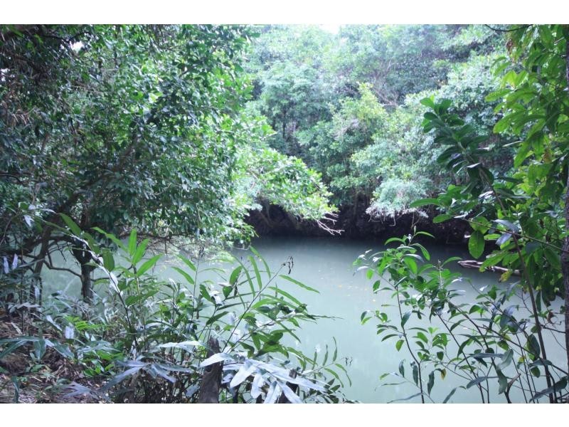 Gordonvale QLD 4865