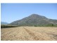 Aloomba QLD 4871