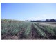 Aloomba QLD 4871