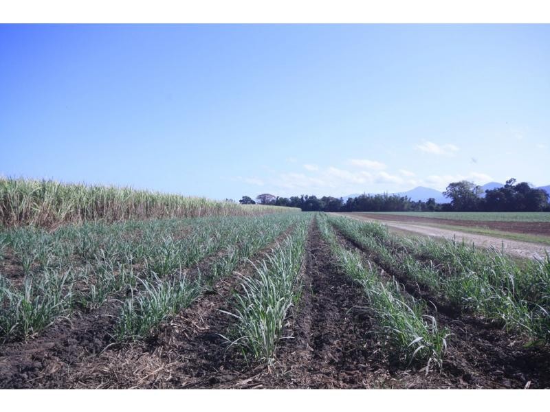 Aloomba QLD 4871