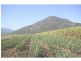 Aloomba QLD 4871