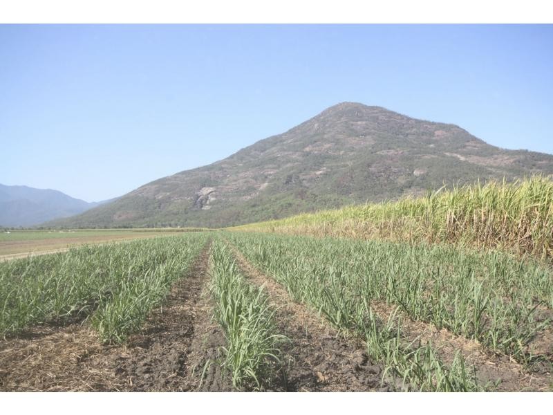 Aloomba QLD 4871