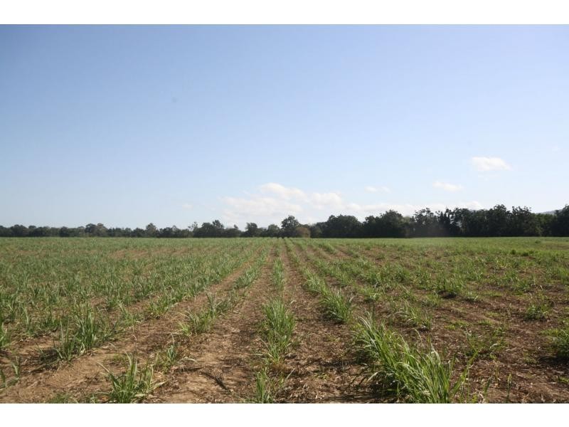 Aloomba QLD 4871