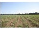 Aloomba QLD 4871