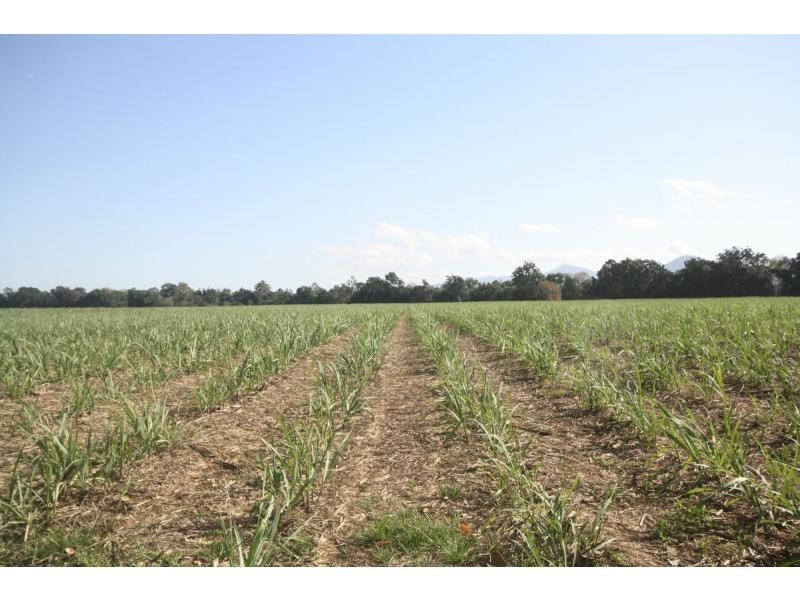 Aloomba QLD 4871