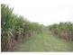 Aloomba QLD 4871