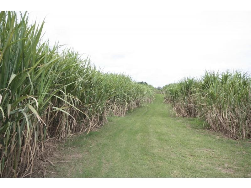 Aloomba QLD 4871
