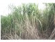 Aloomba QLD 4871