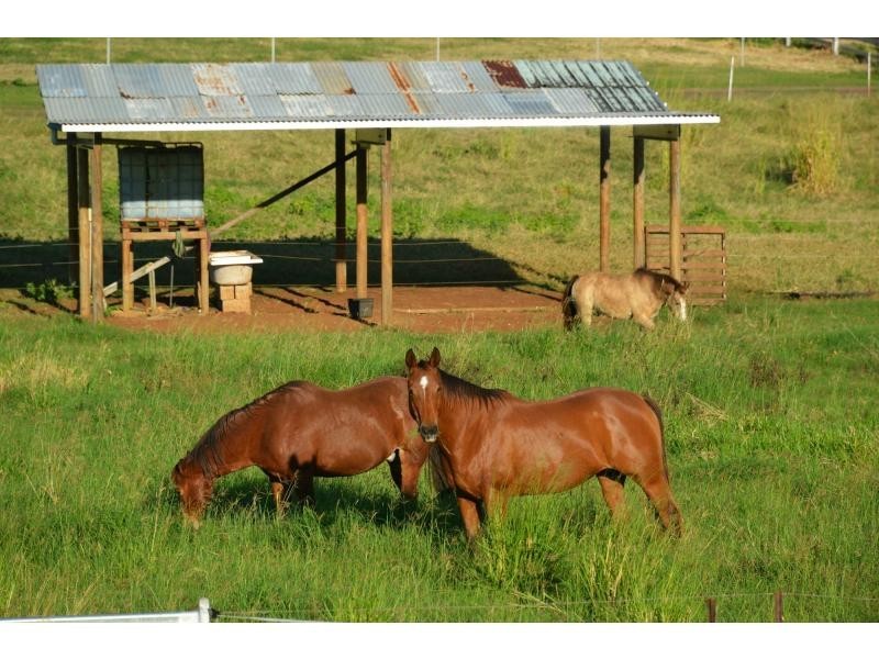 L588 GOLDSBOROUGH Road, Goldsborough QLD 4865