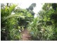 Gordonvale QLD 4865