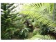 Gordonvale QLD 4865