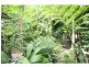 Gordonvale QLD 4865