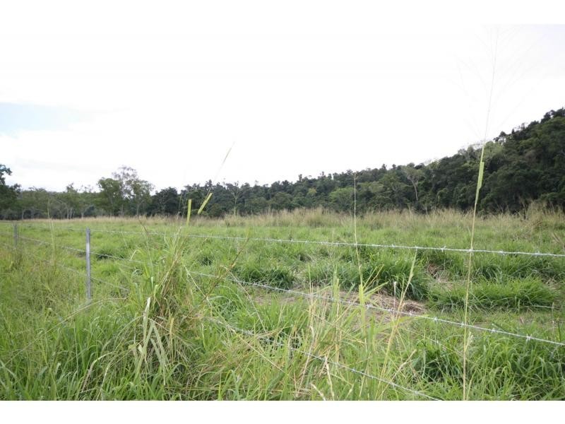 L660 Goldsborough Road, Goldsborough QLD 4865