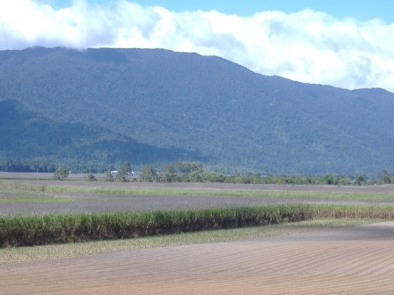 124 Moller Road, Aloomba QLD 4871