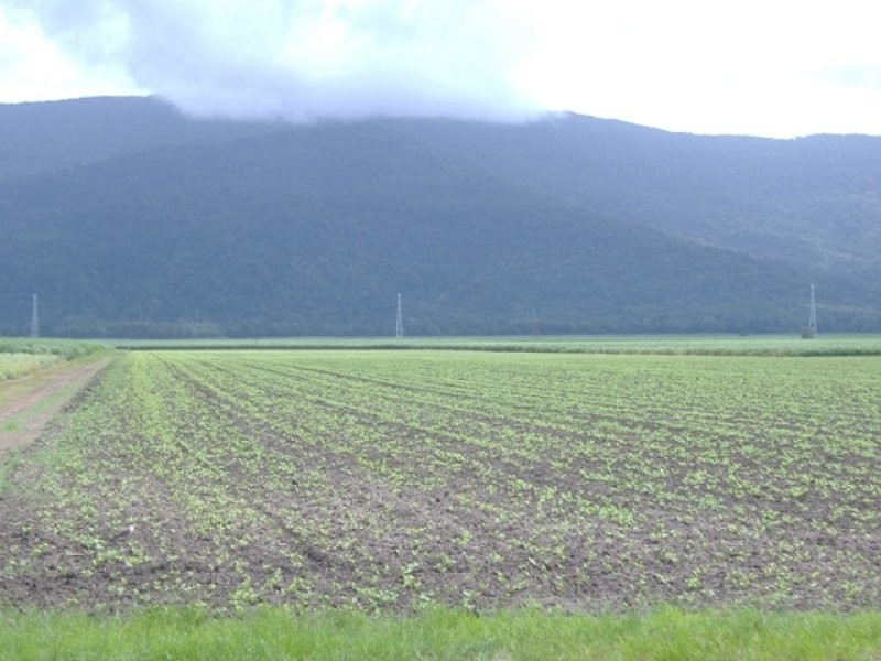 124 Moller Road, Aloomba QLD 4871