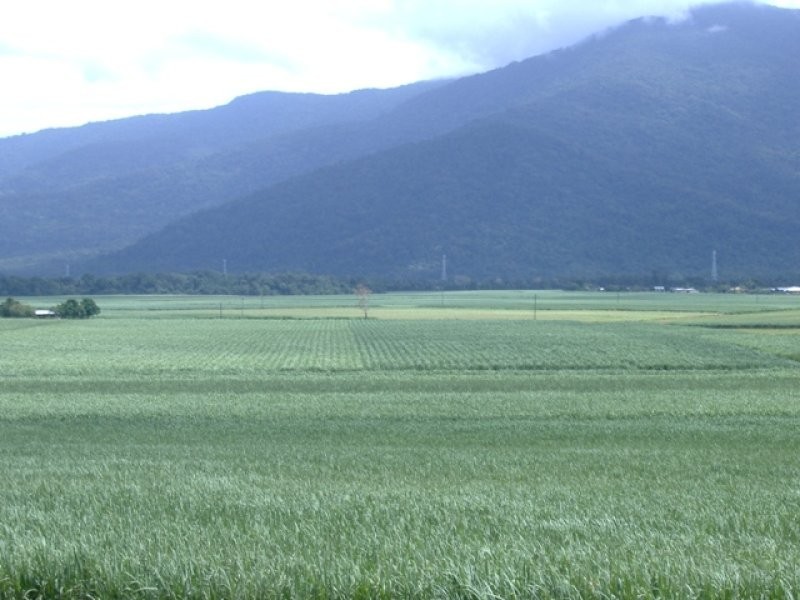 124 Moller Road, Aloomba QLD 4871