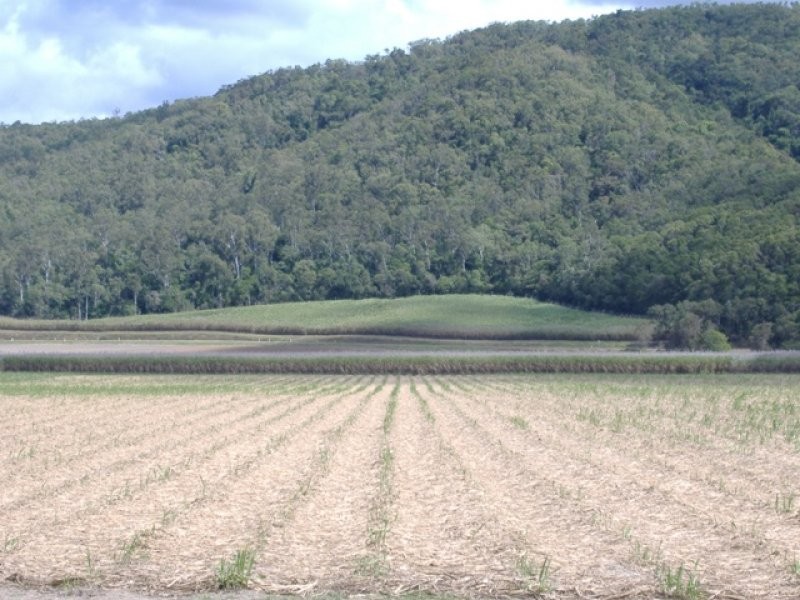 124 Moller Road, Aloomba QLD 4871