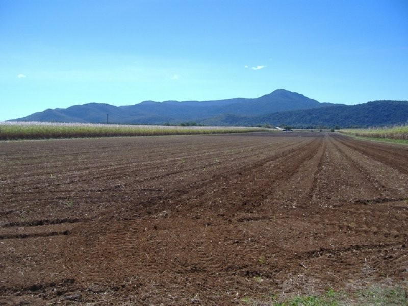 Lot 22 Pine Creek Road, Gordonvale QLD 4865