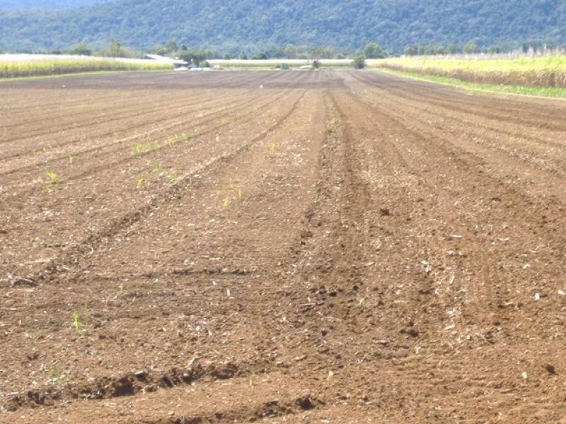 Lot 22 Pine Creek Road, Gordonvale QLD 4865