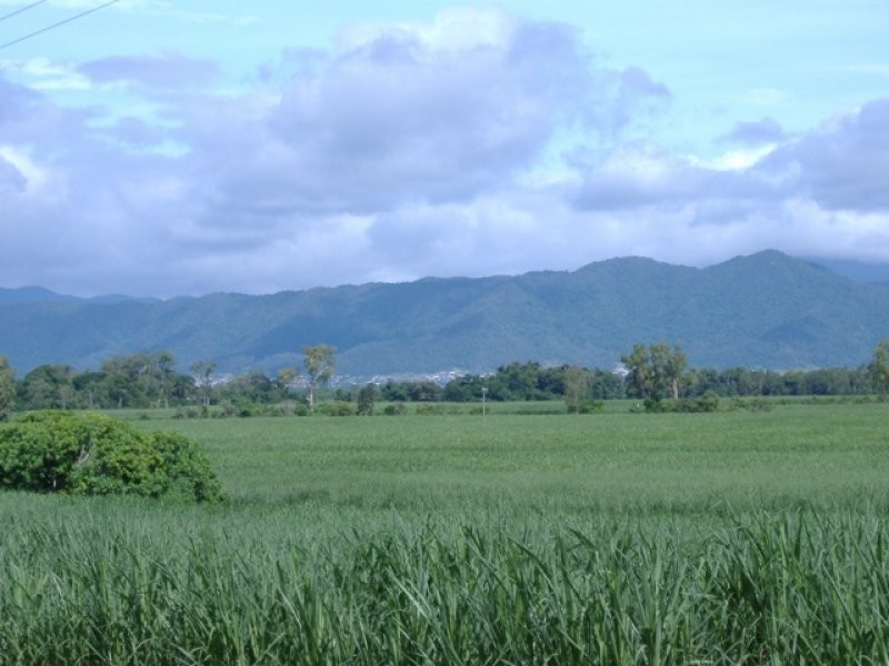 Lot 22 Pine Creek Road, Gordonvale QLD 4865