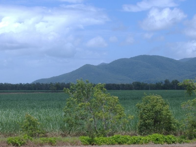 Lot 22 Pine Creek Road, Gordonvale QLD 4865