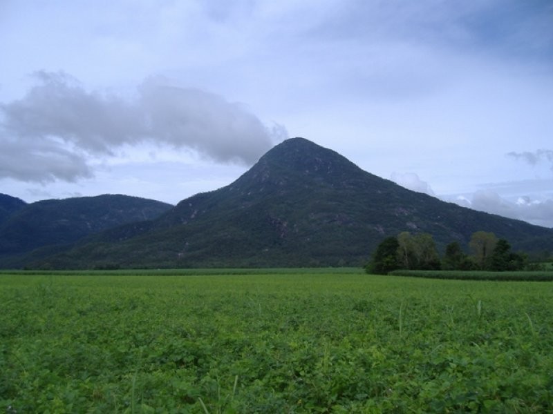 L303 Moller Road, Aloomba QLD 4871