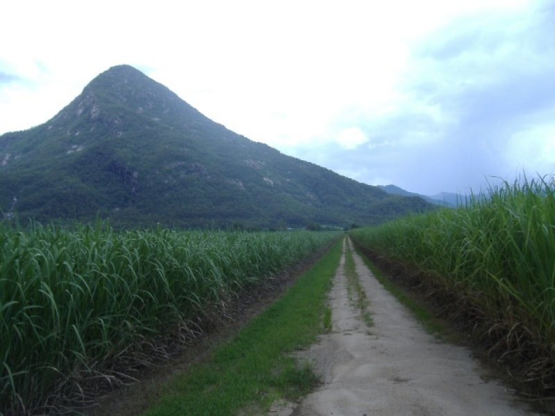 L303 Moller Road, Aloomba QLD 4871