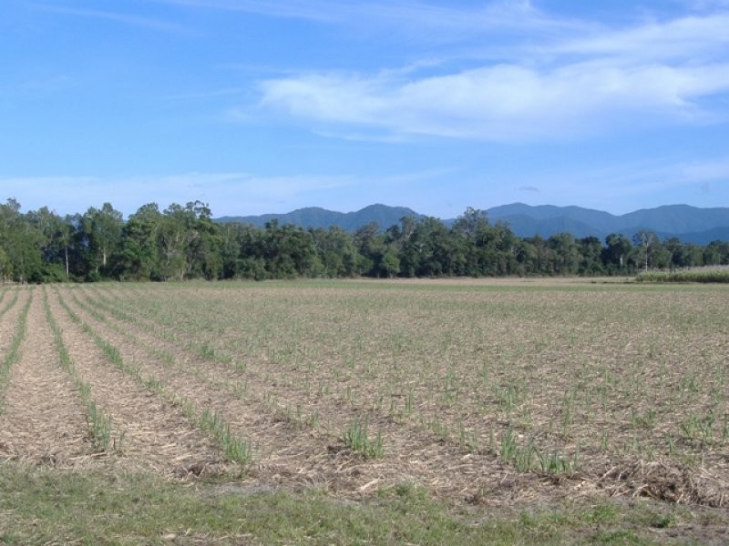 Lot 3 Pine Creek Road North, Gordonvale QLD 4865