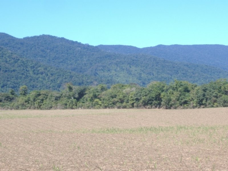 Lot 4 Thomason Road, Gordonvale QLD 4865