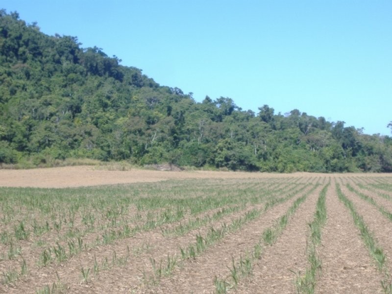 Lot 4 Thomason Road, Gordonvale QLD 4865