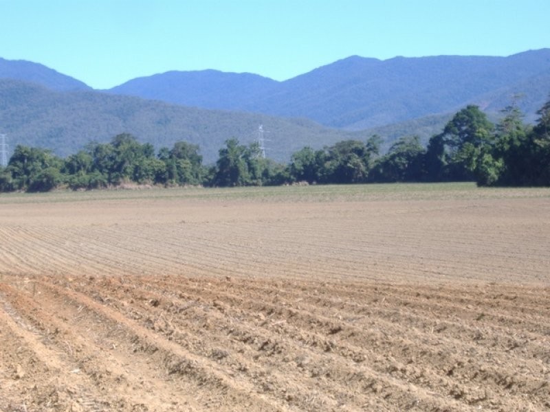 Lot 4 Thomason Road, Gordonvale QLD 4865