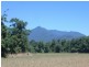 Lot 4 Thomason Road, Gordonvale QLD 4865