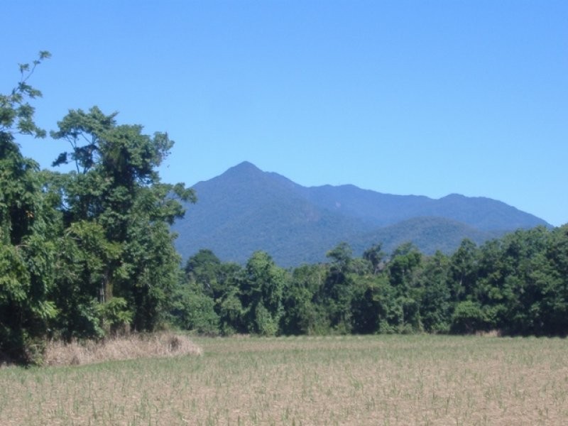 Lot 4 Thomason Road, Gordonvale QLD 4865