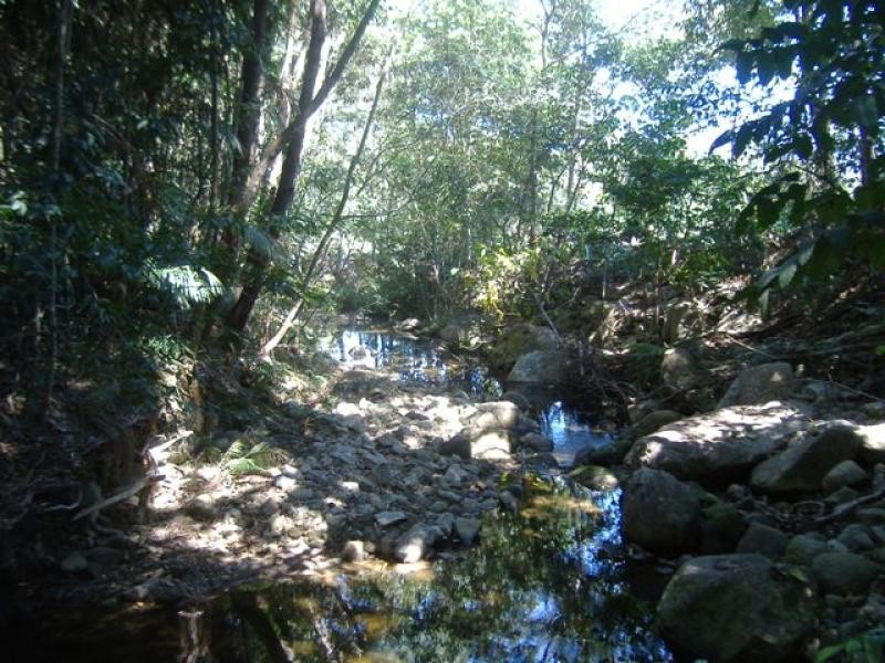 Lot 4 Thomason Road, Gordonvale QLD 4865