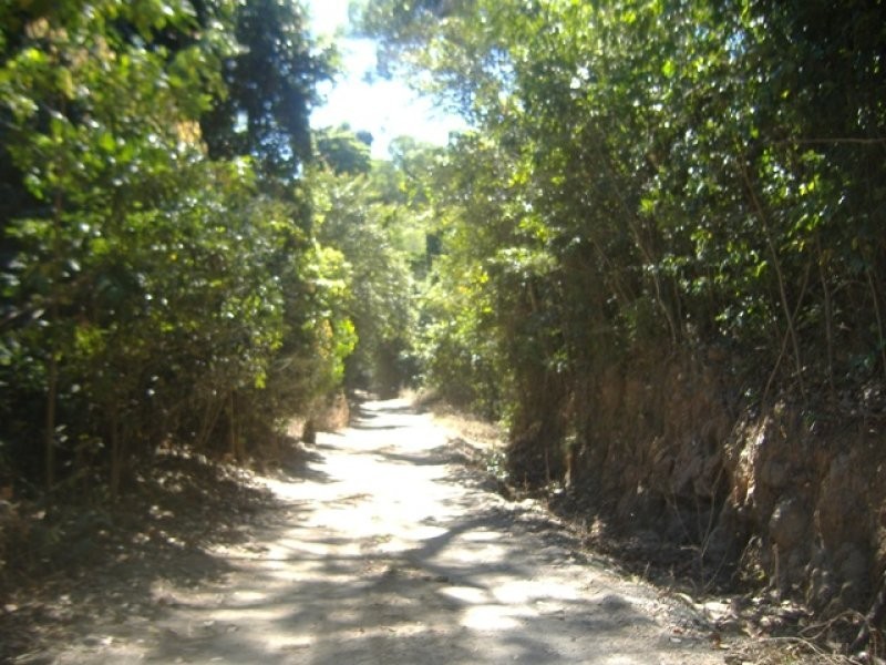 Lot 4 Thomason Road, Gordonvale QLD 4865