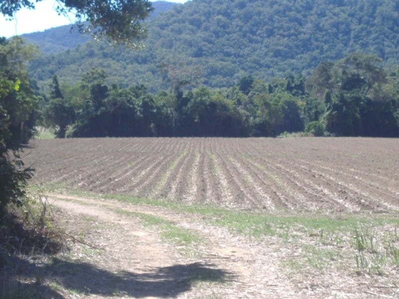 Lot 4 Thomason Road, Gordonvale QLD 4865