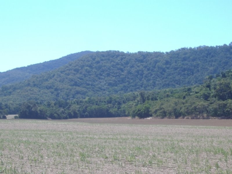 Lot 4 Thomason Road, Gordonvale QLD 4865