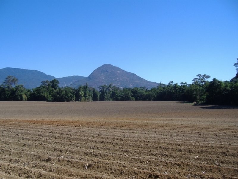Lot 4 Thomason Road, Gordonvale QLD 4865