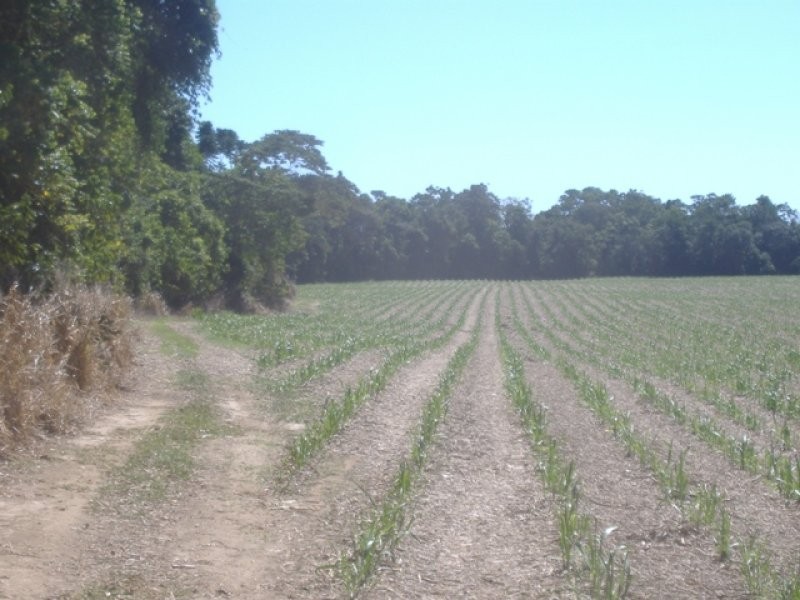 Lot 4 Thomason Road, Gordonvale QLD 4865