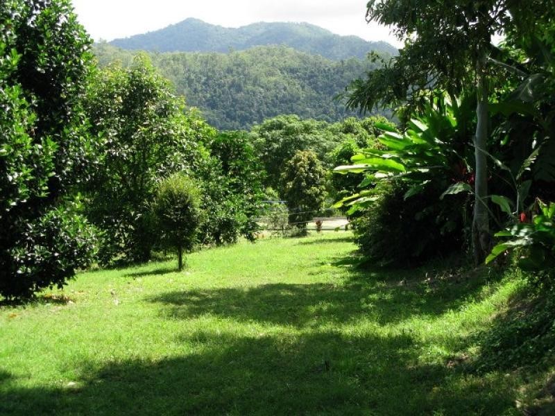 Lot 188 Goldsborough Road, Goldsborough QLD 4865