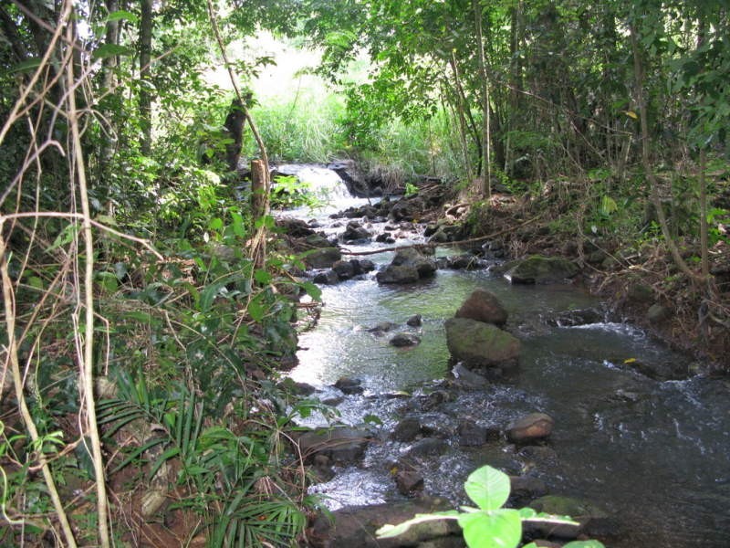 Lot 188 Goldsborough Road, Goldsborough QLD 4865