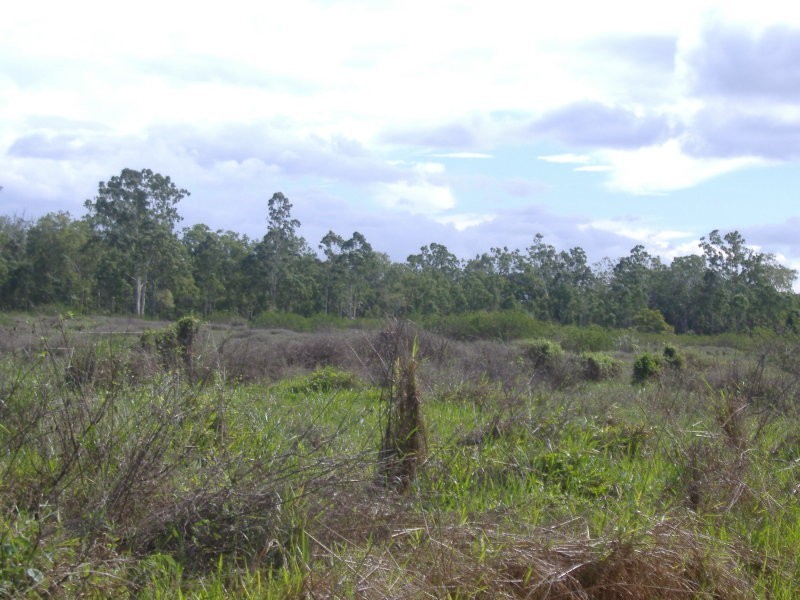 374 Hodzic Road, Biboohra QLD 4880