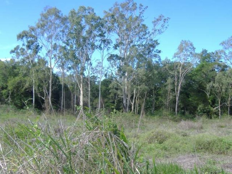 374 Hodzic Road, Biboohra QLD 4880
