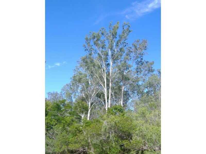 374 Hodzic Road, Biboohra QLD 4880