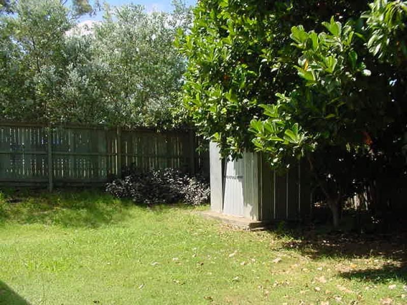 46 Anchusa Street, Kingston QLD 4114