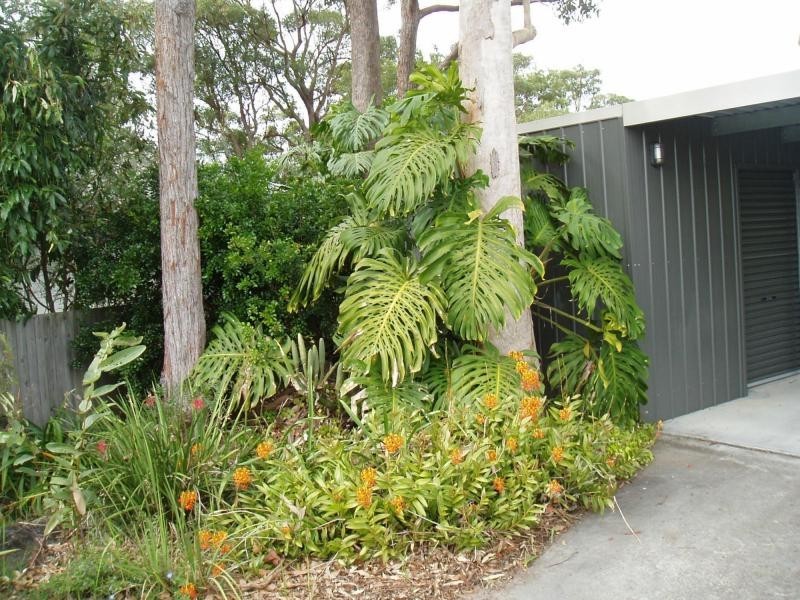 11A Karawatha Street, Springwood QLD 4127