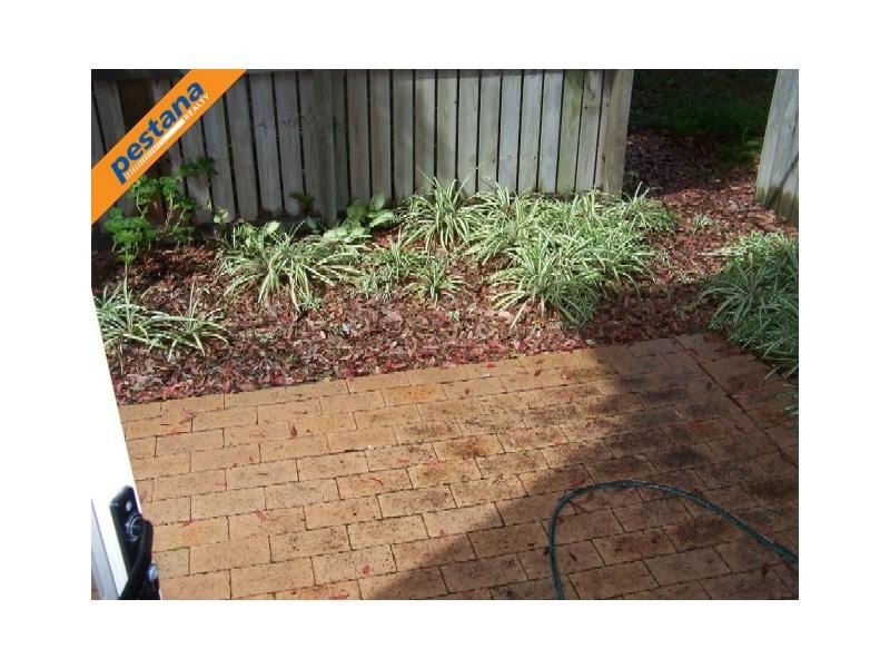 38/99 Barbaralla Drive, Springwood QLD 4127