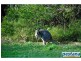 658 Ford Road, Burbank QLD 4156