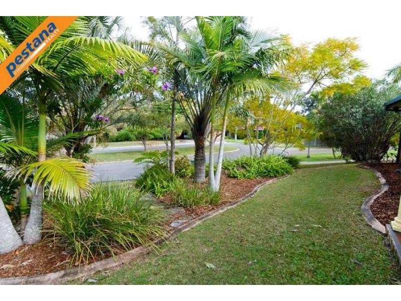 38 Caloola Drive, Springwood QLD 4127